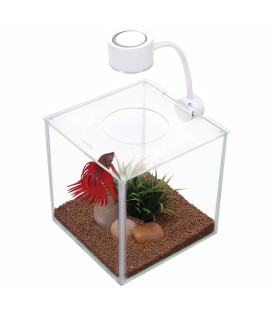 Marina Betta Kit Cubus