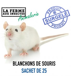 Ecopack blanchons 4-7g sachet de 25