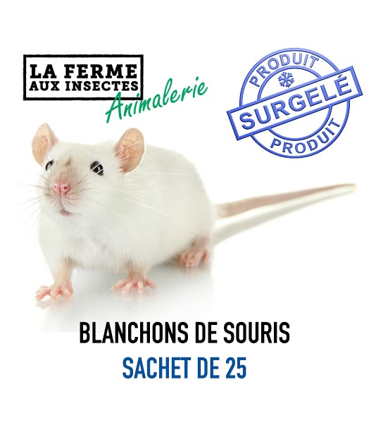 Ecopack Souris Sauteuses 11 17g La Ferme Aux Insectes