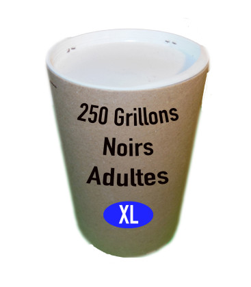 Grillons Noirs Adultes (Taille 8) Tube de 250