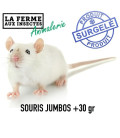 Sachet souris jumbo 31g+ par 25