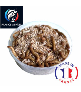 Vers de farine vivants jumbo pour la pêche - Boite de 125cc - Produit en France