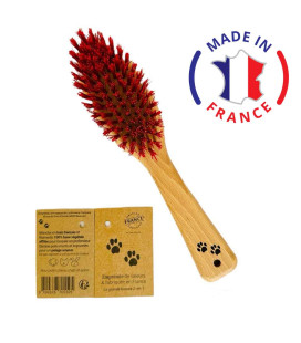 Petite brosse pelage soyeux