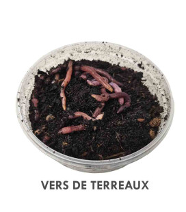 Vers de terreaux