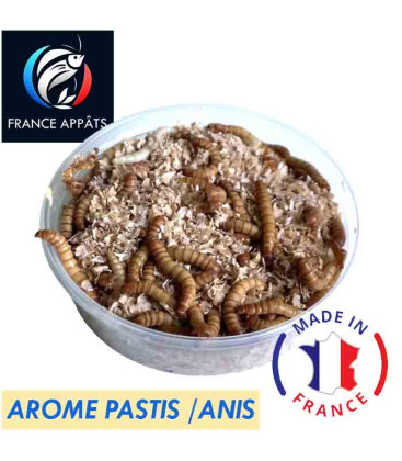 Vers de farine vivants jumbo Arome pastis anis pour la pêche - Boite de 125cc - Produit en France