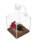 Aquarium & Accessoires