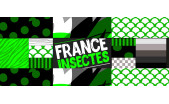 FRANCE INSECTES